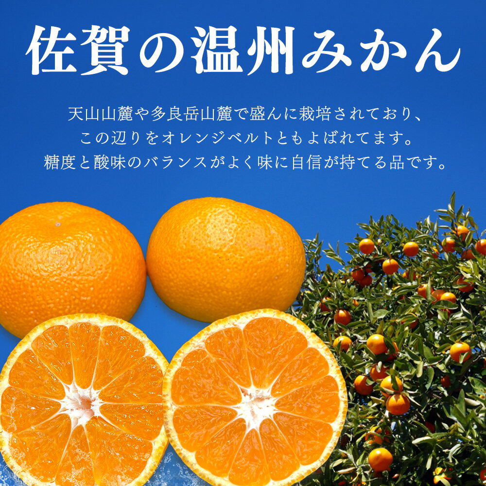【ふるさと納税】【令和7年11月下旬より発送】佐賀温州みかん(1箱 4.5kg)【フルーツ 佐賀 佐賀県産 早生みかん 温州みかん ギフト 贈答 プレゼント】 (H072107) サムネイル2