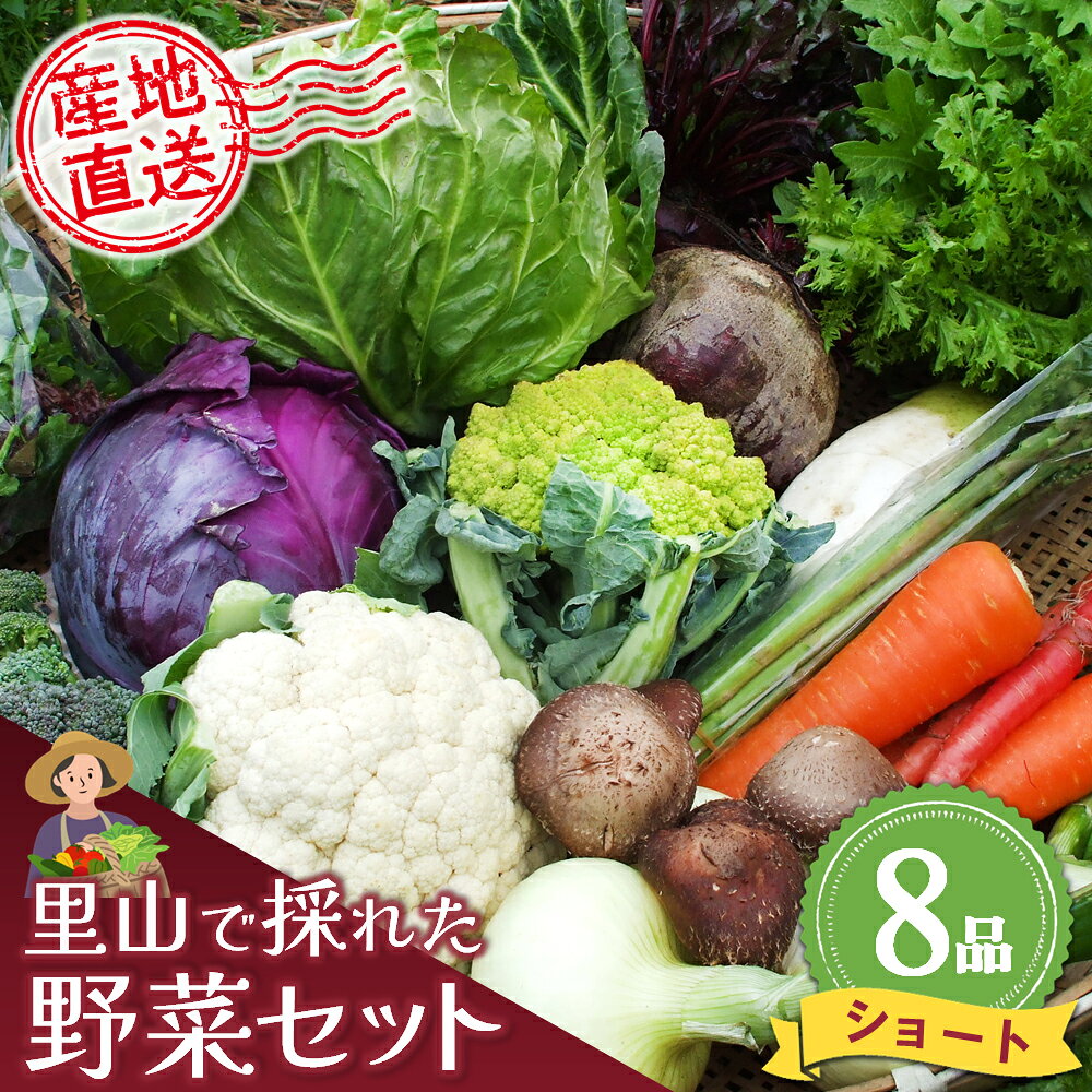 里山で採れた野菜セットショート 8品 【有機野菜 おまかせ野菜セット イタリア野菜 西洋野菜】(H078101)