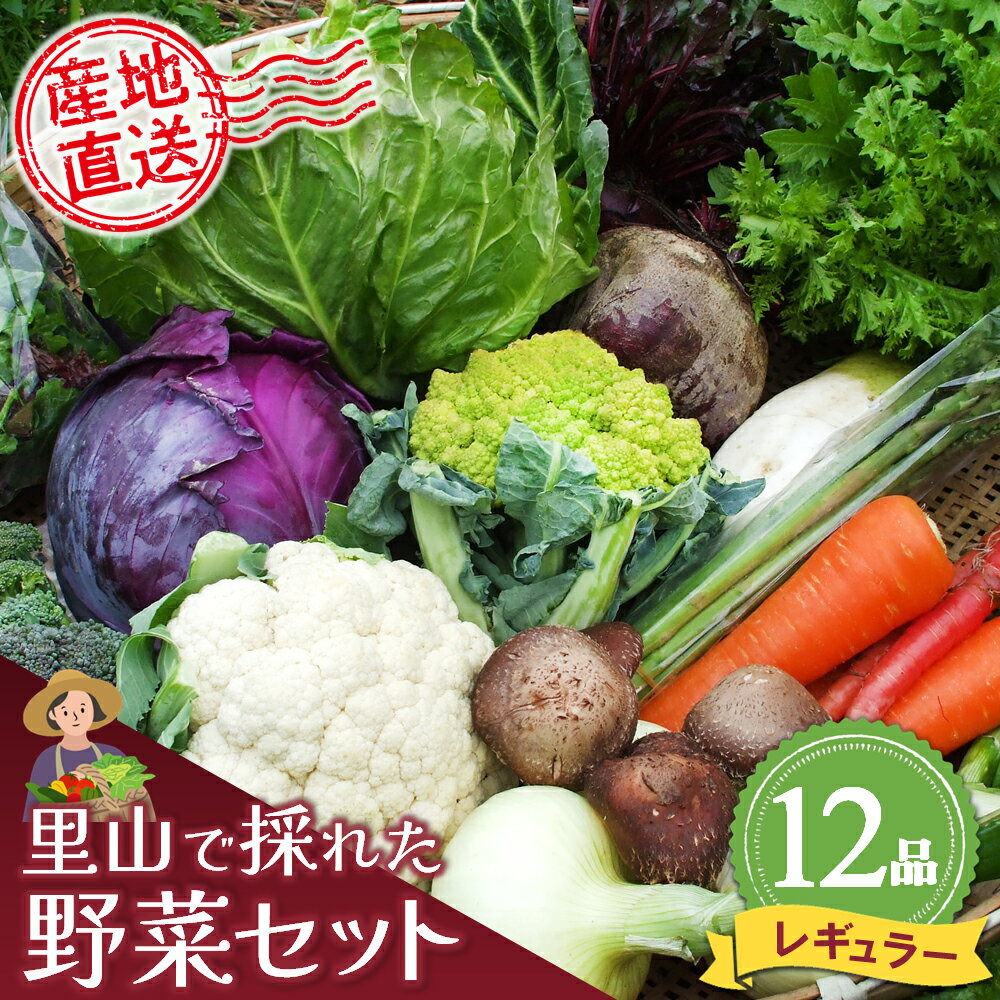 里山で採れた野菜セットレギュラー 12品 【有機野菜 おまかせ野菜セット イタリア野菜 西洋野菜】(H078105)