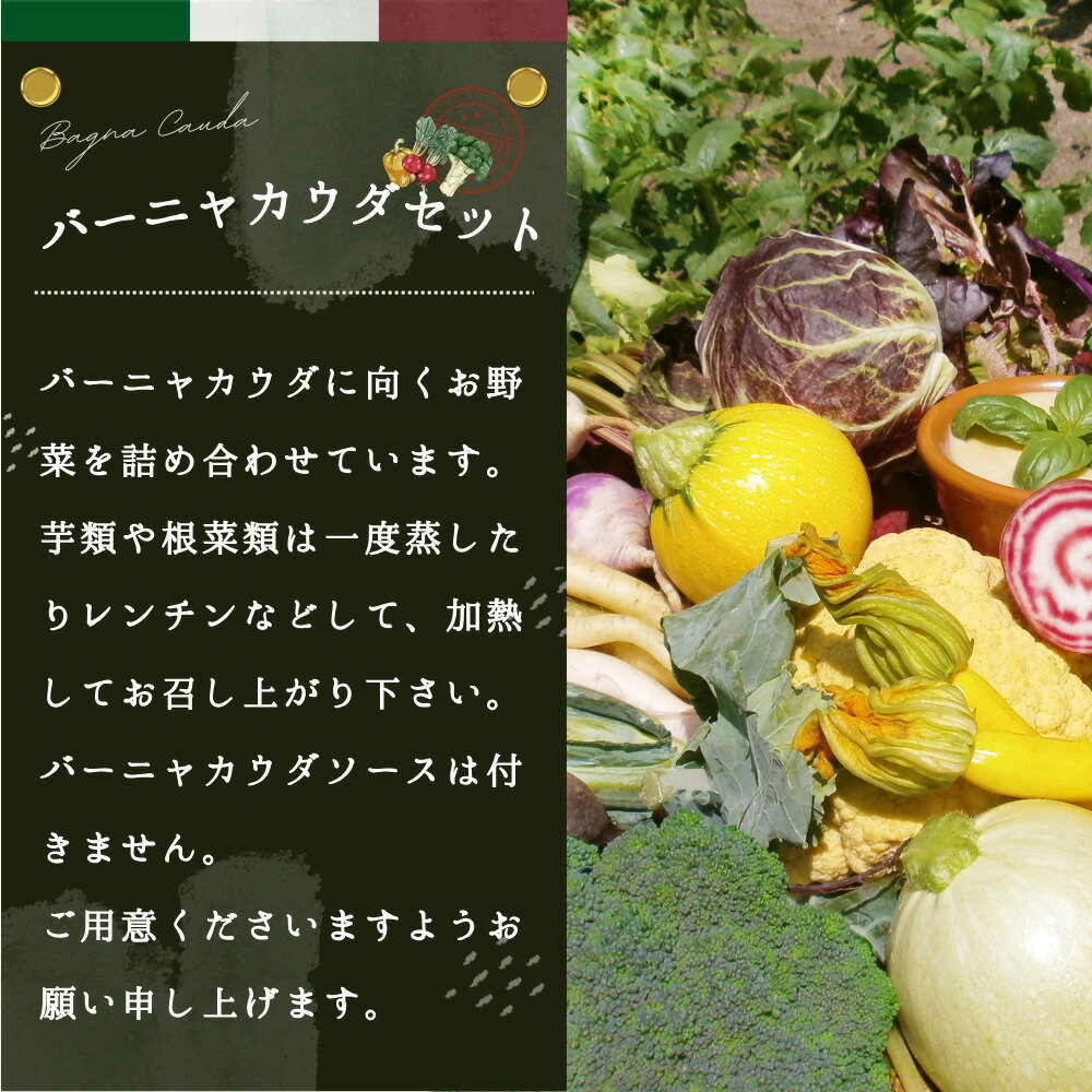 【ふるさと納税】バーニャカウダ野菜セットレギュラー 12品 【有機野菜 おまかせ野菜セット イタリア野菜 西洋野菜】(H078117) - 画像2