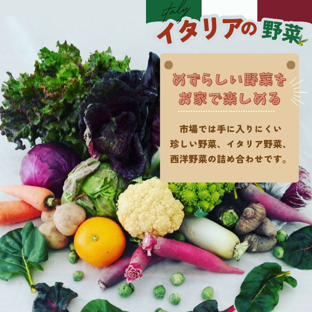 【ふるさと納税】年間定期便12回 イタリア野菜セットラージ 14品 【有機野菜 おまかせ野菜セット イタリア野菜 西洋野菜 定期便】(H078134) - 画像3
