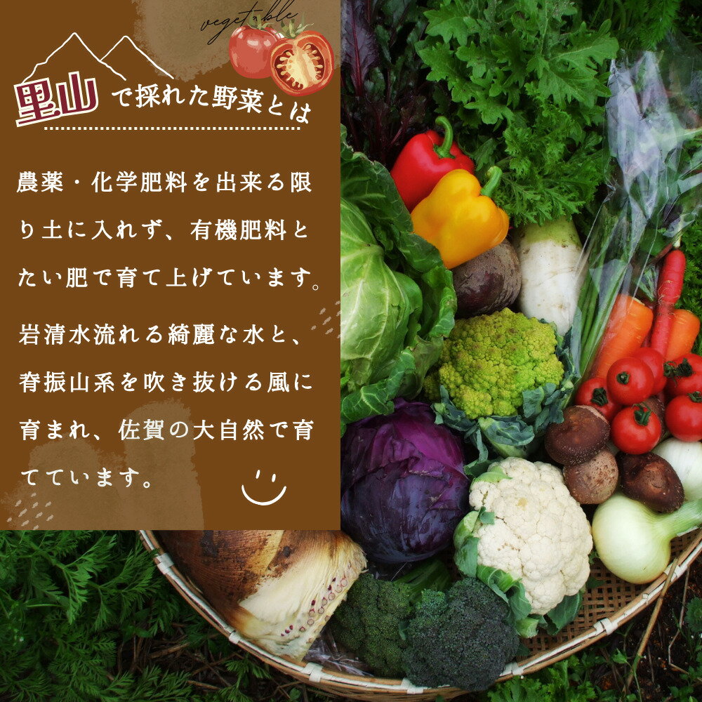 【ふるさと納税】年間定期便24回 里山で採れた野菜セットラージ 16品 【有機野菜 おまかせ野菜セット イタリア野菜 西洋野菜 定期便】(H078111) - 画像2