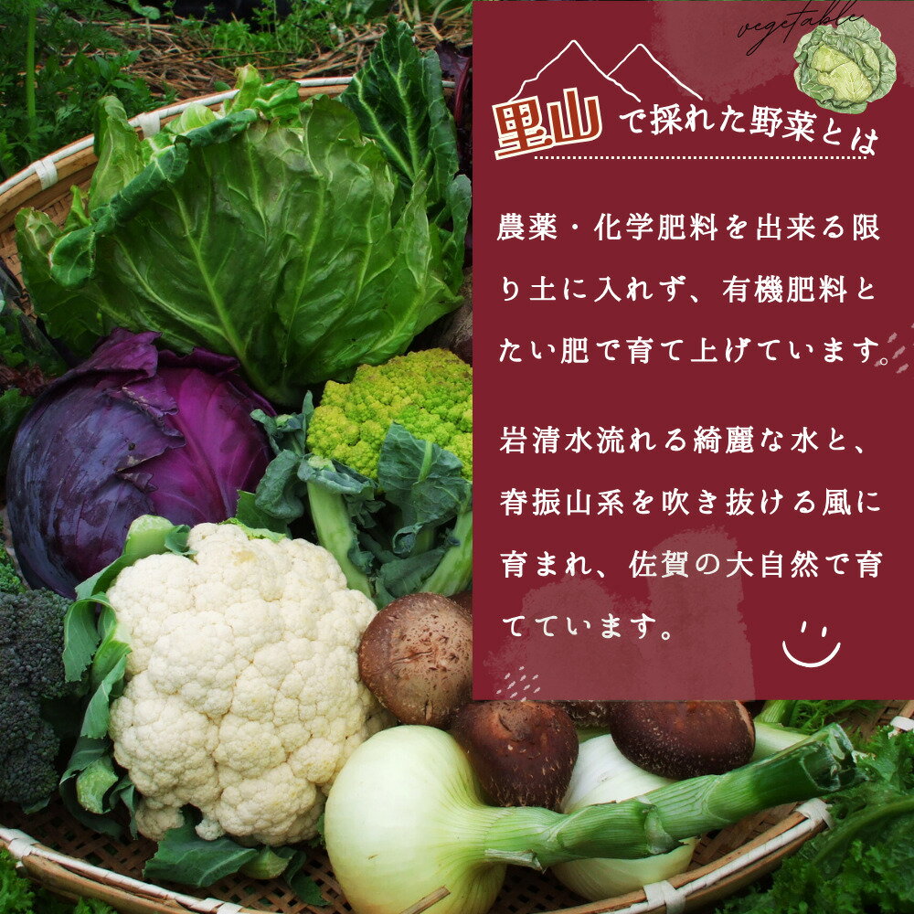 【ふるさと納税】里山で採れた野菜セットショート 8品 【有機野菜 おまかせ野菜セット イタリア野菜 西洋野菜】(H078101) - 画像2