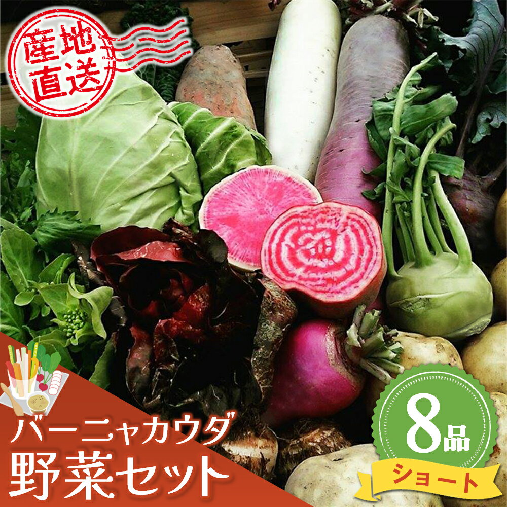 バーニャカウダ野菜セットショート 8品 【有機野菜 おまかせ野菜セット イタリア野菜 西洋野菜】(H078113)