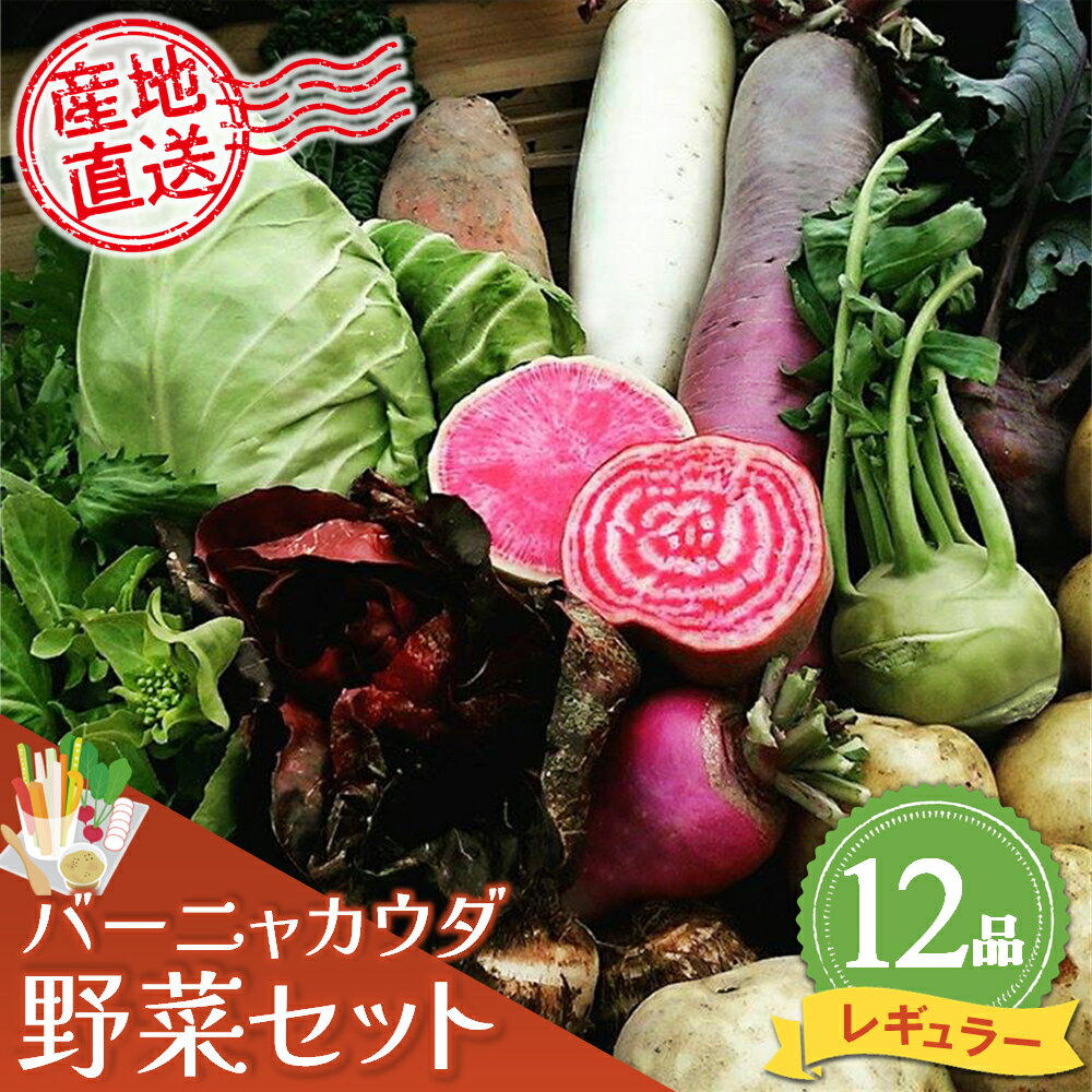 バーニャカウダ野菜セットレギュラー 12品 【有機野菜 おまかせ野菜セット イタリア野菜 西洋野菜】(H078117)