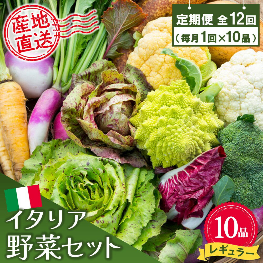 年間定期便12回 イタリア野菜セットレギュラー 10品 【有機野菜 おまかせ野菜セット イタリア野菜 西洋野菜 定期便】(H078149)