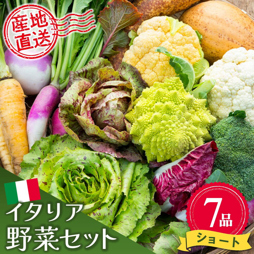 イタリア野菜セットショート 7品 【有機野菜 おまかせ野菜セット イタリア野菜 西洋野菜】(H078145)