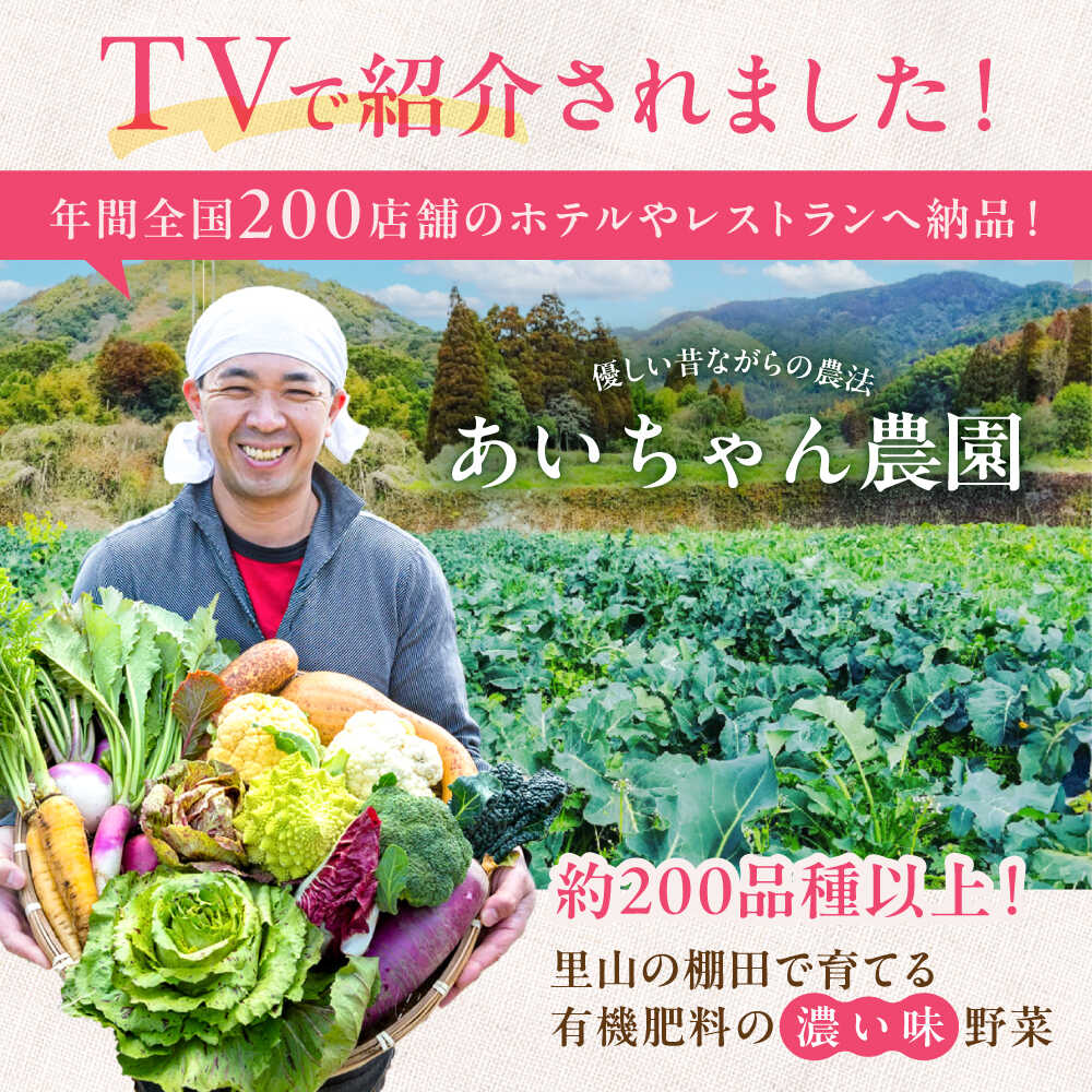 【ふるさと納税】【12品 選べる配送回数】農薬に頼らない！カラダにやさしい「よしのがり野菜」セット（レギュラー）| 野菜 定期便 詰め合わせ 旬 |吉野ヶ里町/あいちゃん農園[FAA005/006/007] - 画像2