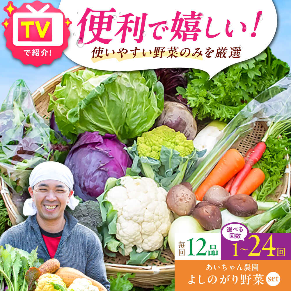 【12品 選べる配送回数】農薬に頼らない！カラダにやさしい「よしのがり野菜」セット（レギュラー）| 野菜 定期便 詰め合わせ 旬 |吉野ヶ里町/あいちゃん農園[FAA005/006/007]