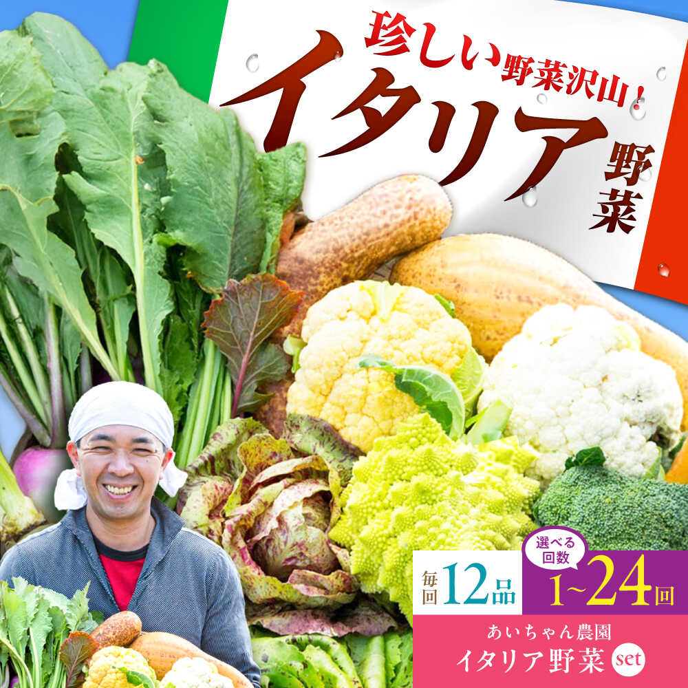 【12品 選べる配送回数】農薬に頼らない！カラダにやさしい「イタリア野菜」セット（ラージ）吉野ヶ里町/吉野ヶ里あいちゃん農園[FAA021/FAA022/FAA023]
