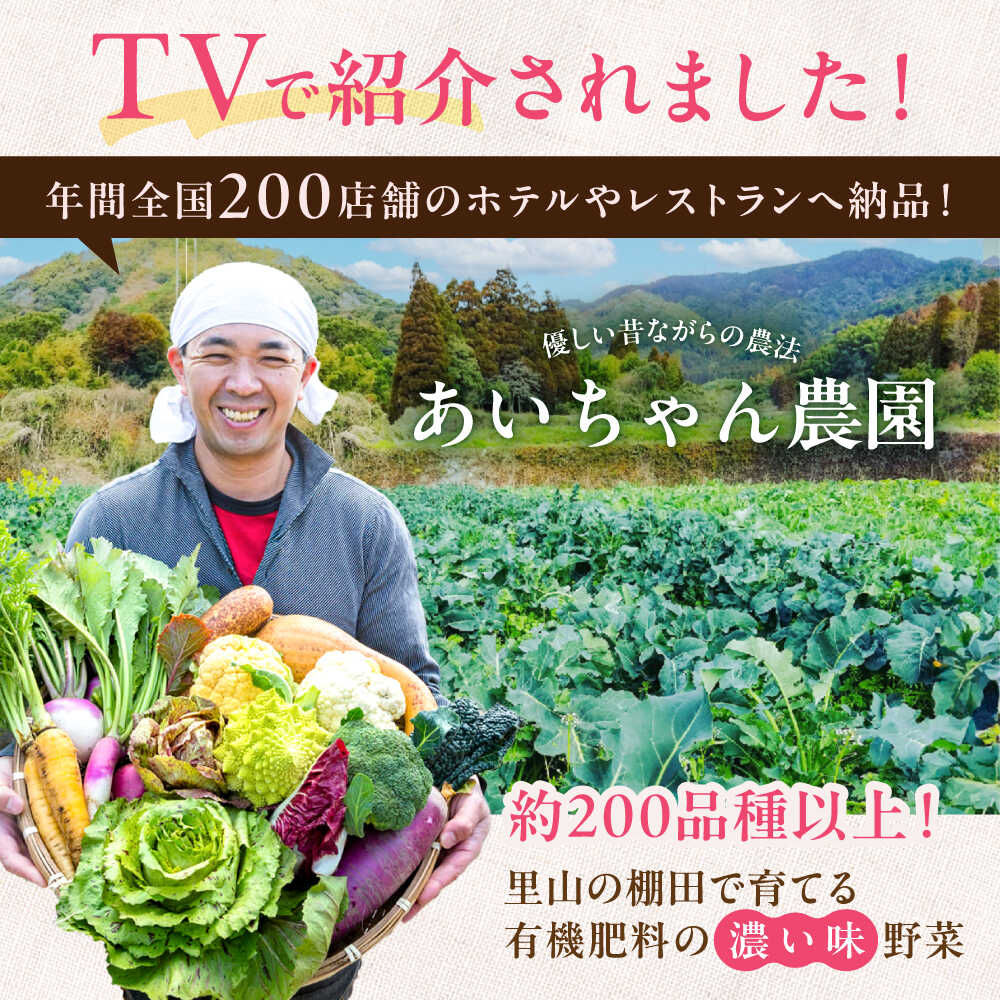 【ふるさと納税】【16品】「使いやすい野菜」×「珍しいイタリア野菜」食べ比べセット 吉野ヶ里町/吉野ヶ里あいちゃん農園[FAA033/034/035] - 画像2