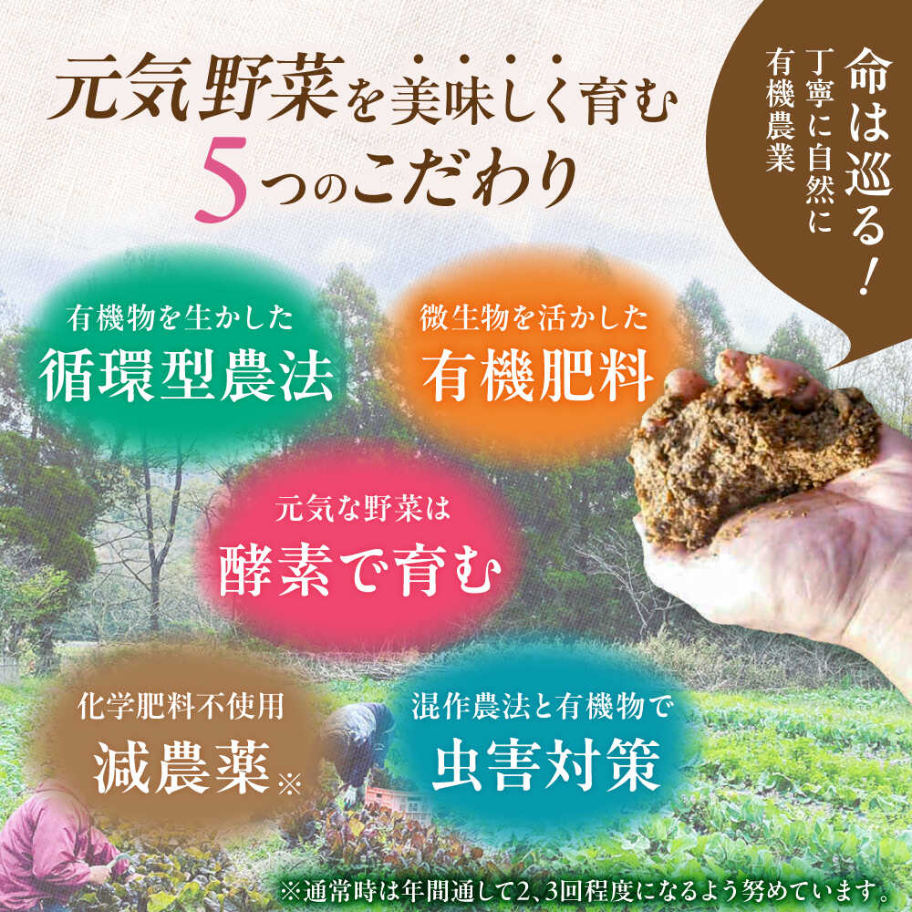 【ふるさと納税】【16品】「使いやすい野菜」×「珍しいイタリア野菜」食べ比べセット 吉野ヶ里町/吉野ヶ里あいちゃん農園[FAA033/034/035] - 画像3