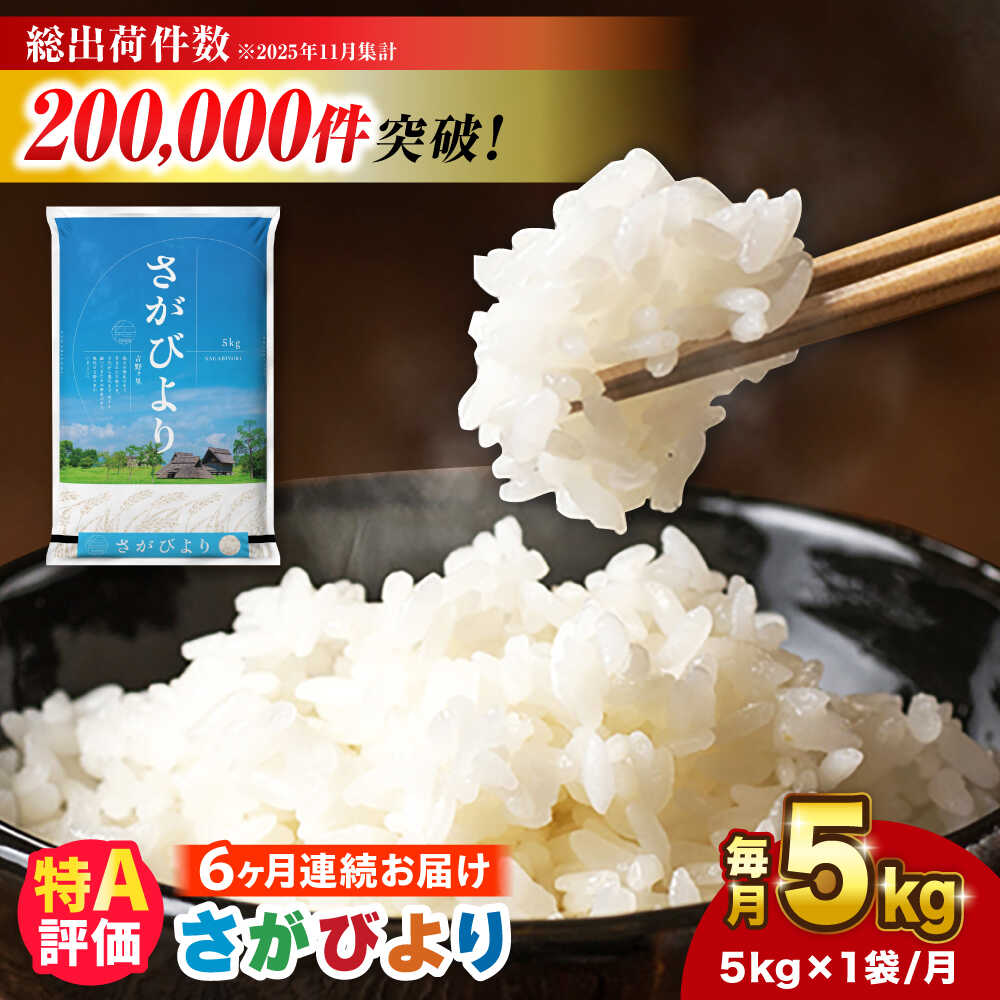 【5kg×6回定期便】【令和7年産】さがびより白米 計30kg（5kg×6回）吉野ヶ里町/増田米穀 [FBM003]