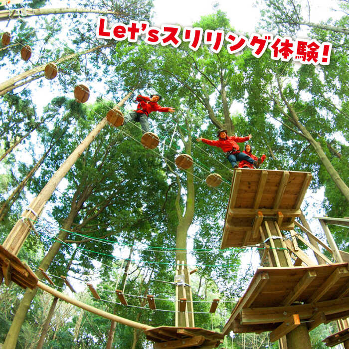 【ふるさと納税】【ワクワク楽しい！】 アドベンチャーコース（スタンダードプラン・1名チケット）吉野ヶ里町/フォレストアドベンチャー[FBQ004] サムネイル2