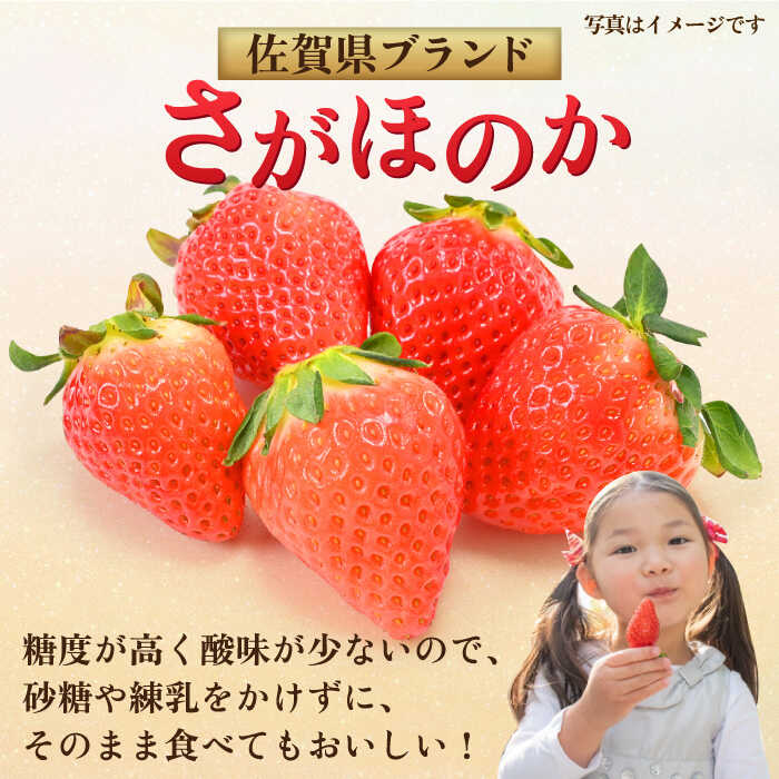 【ふるさと納税】【1月中旬〜3月中旬発送】みずみずしい果肉！さがほのかレギュラーパック4P 240g×4 いちご 佐賀県産 イチゴ 佐賀 吉野ヶ里町/リエンサーク [FCC001] サムネイル2