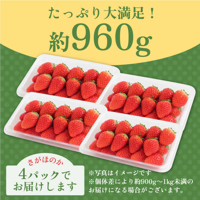 【ふるさと納税】【1月中旬〜3月中旬発送】みずみずしい果肉！さがほのかレギュラーパック4P 240g×4 いちご 佐賀県産 イチゴ 佐賀 吉野ヶ里町/リエンサーク [FCC001] サムネイル3