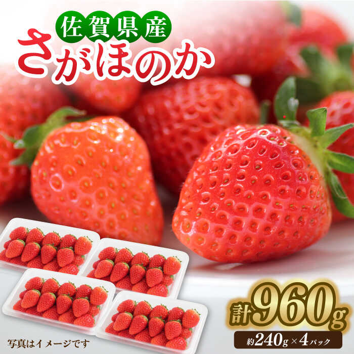【1月中旬〜3月中旬発送】みずみずしい果肉！さがほのかレギュラーパック4P 240g×4 いちご 佐賀県産 イチゴ 佐賀 吉野ヶ里町/リエンサーク [FCC001]