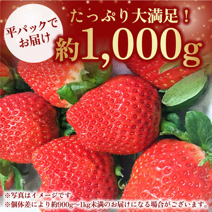 【ふるさと納税】【1月中旬〜2月中旬発送】やさしい味わい！いちごさん 平パック×4P 約1kg いちご イチゴ 佐賀県産 佐賀県 佐賀 パック 吉野ヶ里町/リエンサーク [FCC003] サムネイル3