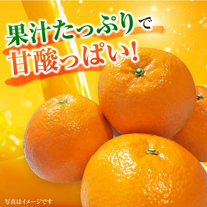 【ふるさと納税】【1月中旬〜2月下旬発送】甘酸っぱくておいしい！佐賀県産 みかん 「伊予柑（いよかん）」5kg ミカン みかん 早生ミカン 吉野ヶ里町/リエンサーク [FCC008] サムネイル2