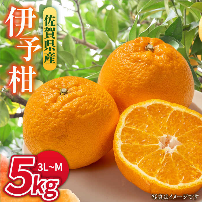 【1月中旬〜2月下旬発送】甘酸っぱくておいしい！佐賀県産 みかん 「伊予柑（いよかん）」5kg ミカン みかん 早生ミカン 吉野ヶ里町/リエンサーク [FCC008]