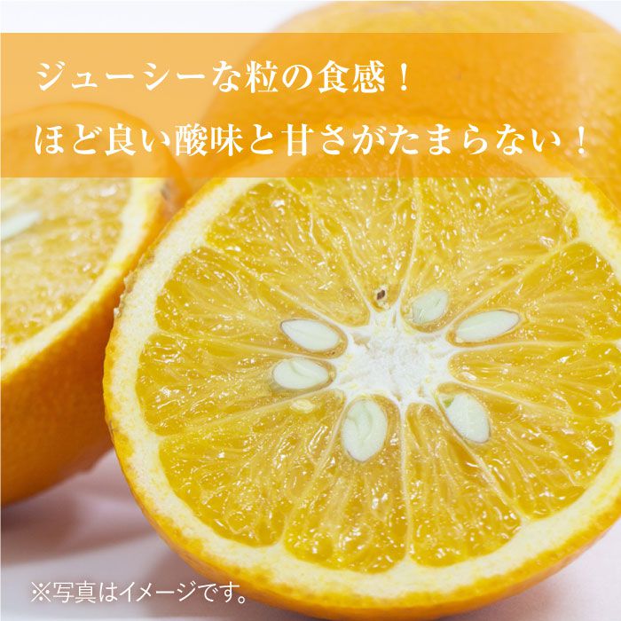 【ふるさと納税】【4月下旬〜5月上旬発送】佐賀県産 みかん 甘味とほどよい酸味の「甘熟甘夏」約10kg 吉野ヶ里町/リエンサーク [FCC012] サムネイル2