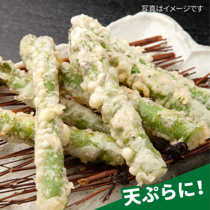 【ふるさと納税】限定30箱！先行予約 / 受付は3/25まで！【26年2月下旬〜4月上旬順次発送】吉野ヶ里産アスパラガス 春芽 800g(20本〜30本) 吉野ヶ里町/K-ファーム吉野ヶ里 - 画像3