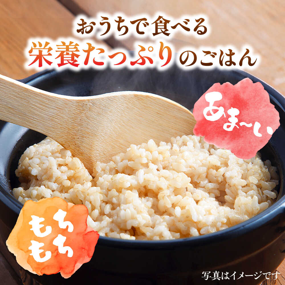 【ふるさと納税】【選べる配送月】【R7年産】さがびより 玄米 3kg 令和7年産 | 米 さがびより 玄米 佐賀県産 新生活 お祝い ギフト 仕送り|吉野ヶ里町/大塚米穀店 [FCW002] - 画像3