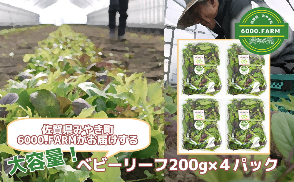 大容量ベビーリーフ200g×4セット 有機JAS認証取得 野菜 葉野菜 サラダ 国産 直送（FV021）