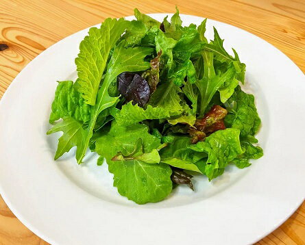 【ふるさと納税】【6回定期便】【飲食店御用達】有機JAS認証サラダリーフMix(500g×2袋　合計1kg）新鮮 野菜 直送（FV012） - 画像2