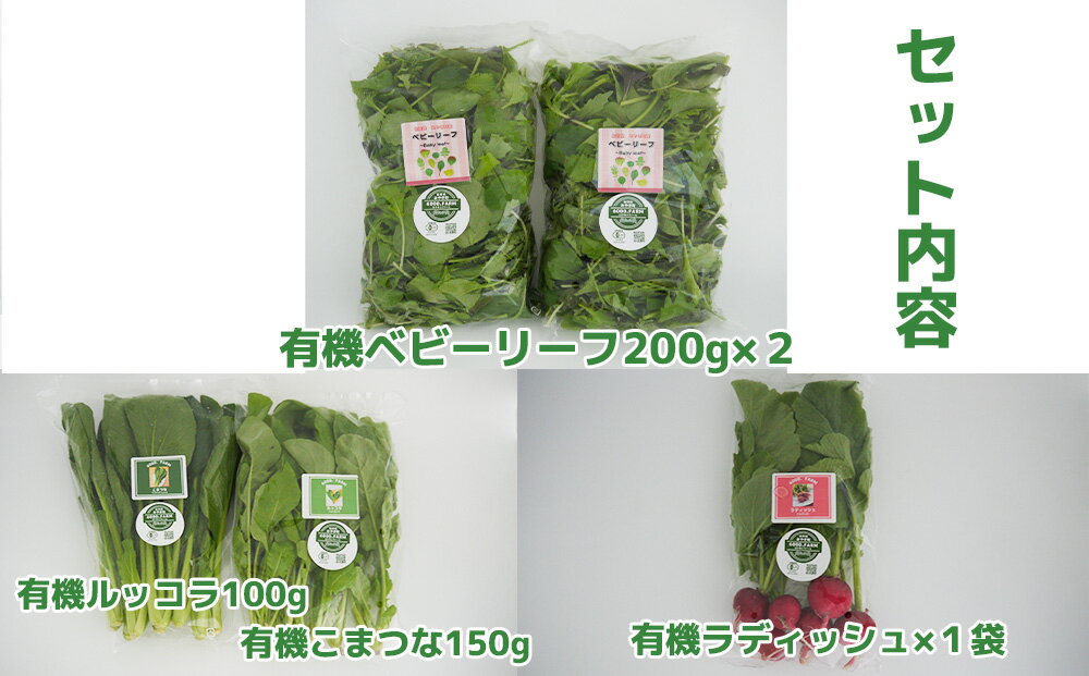 【ふるさと納税】6回定期便】6000.FARMの有機野菜のサラダセット直送（FV019） - 画像2