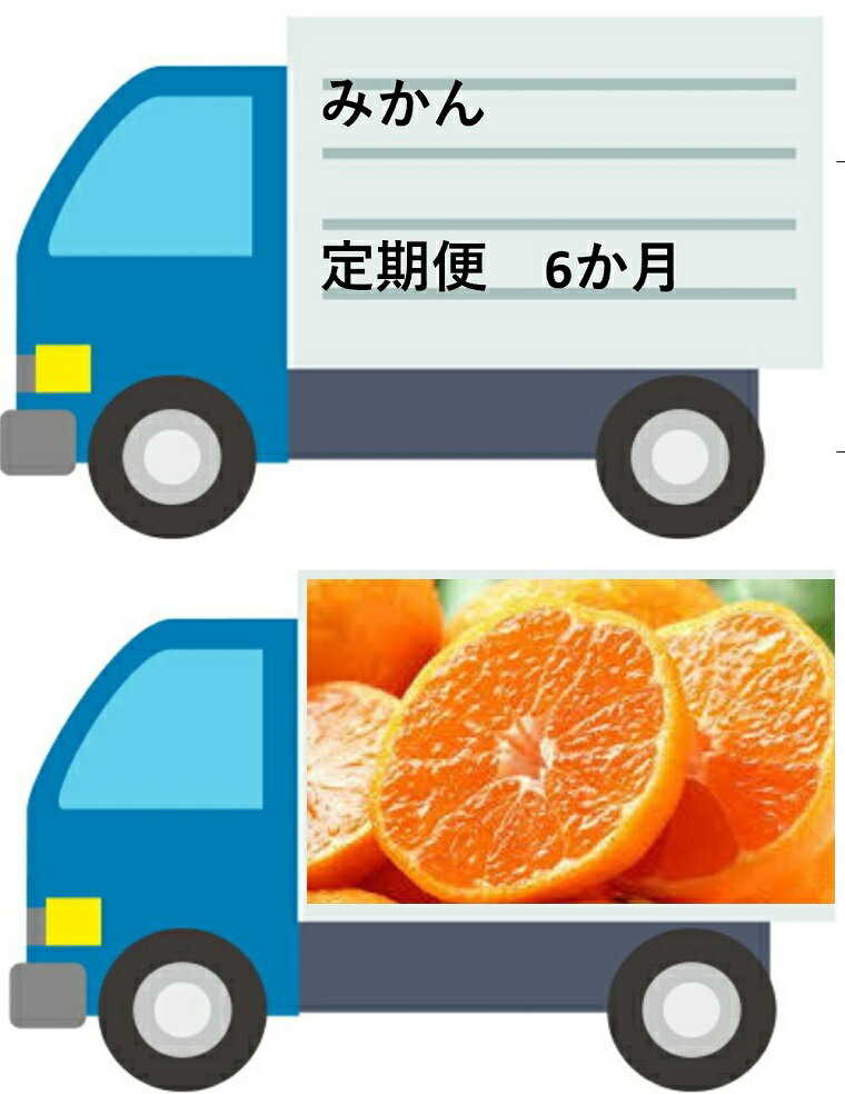 【佐賀県産】みかん定期便【年6回】（DV127）