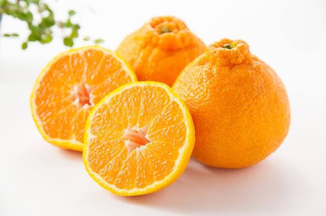 _不知火（デコポン）約5kg（DV102）