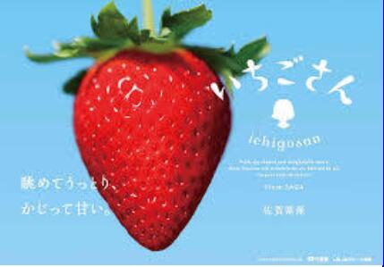 いちごさん4パック（DV101）