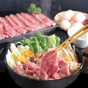 【ふるさと納税】 佐賀牛 豪華 800g 切落し【認定】オススメ！ 人気！（BG049） サムネイル2