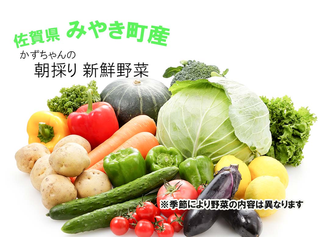 かずちゃんの朝採り新鮮野菜セット【みやき町産朝採り野菜をお届け】（CC001)