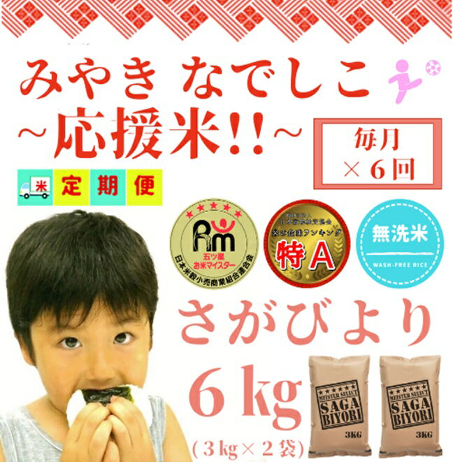 【みやきなでしこ】応援米【6回定期便】【無洗米】さがびより6kg（3kg×2袋）（CID69）