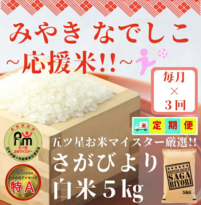 【みやきなでしこ】応援米【3回定期便】さがびより白米5kg（CID60）