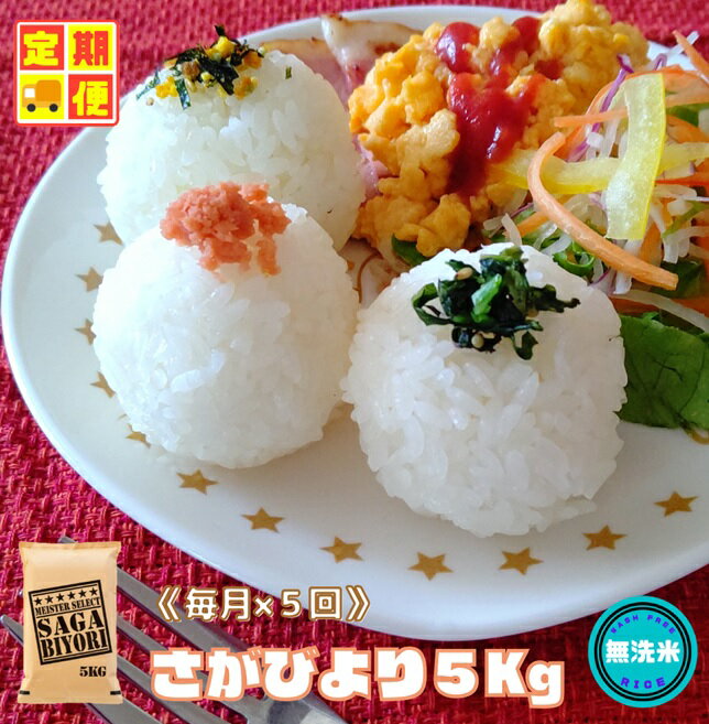 【5回定期便】無洗米さがびより5kg（CID51）