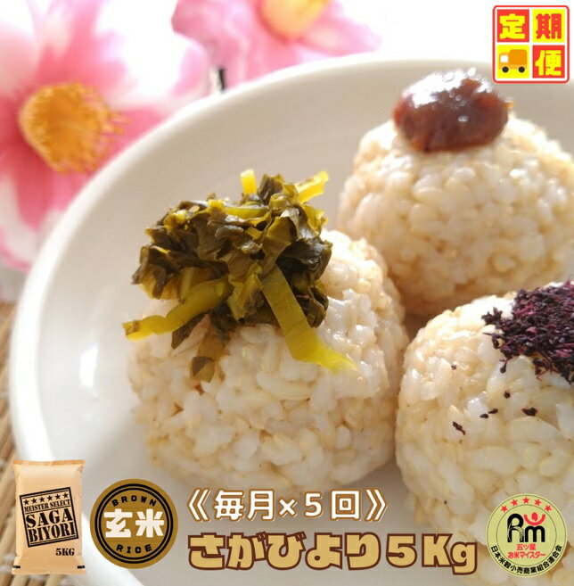 【玄米】さがびより5kg【5回定期便】（CID45）