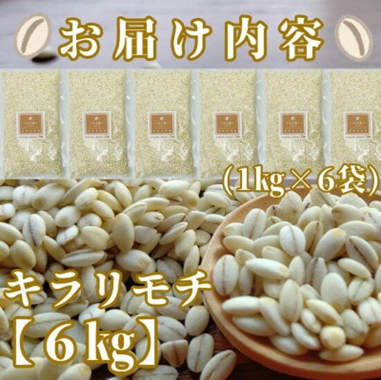 【ふるさと納税】佐賀県産『もち麦』6kg(1kg×6袋)【キラリモチ】（CIB97） - 画像2