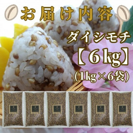 【ふるさと納税】佐賀県産『もち麦』6kg(1kg×6袋)【ダイシモチ】（CIB99） - 画像2