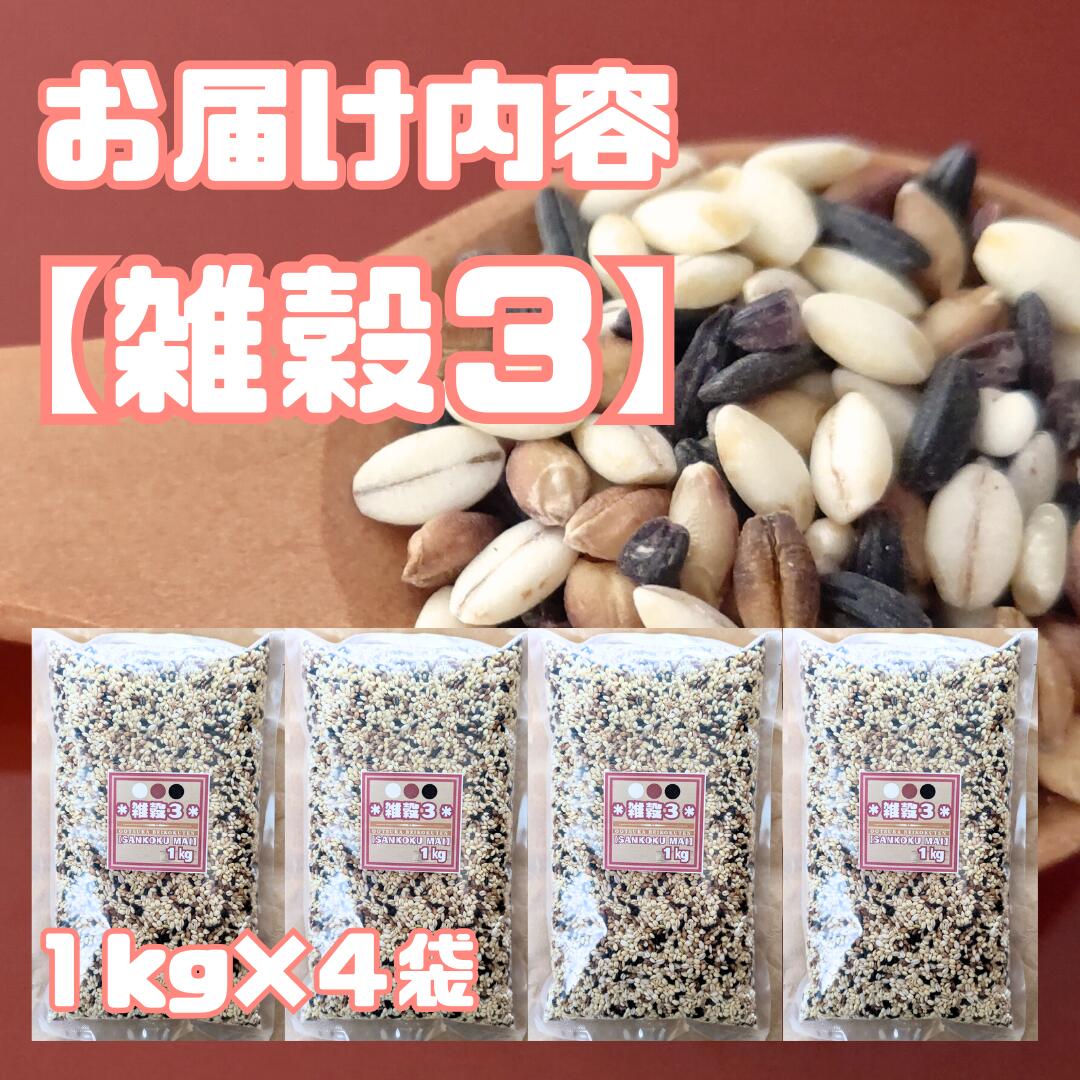 【ふるさと納税】雑穀3　1kg×4袋（4kg）（CIC07） - 画像2