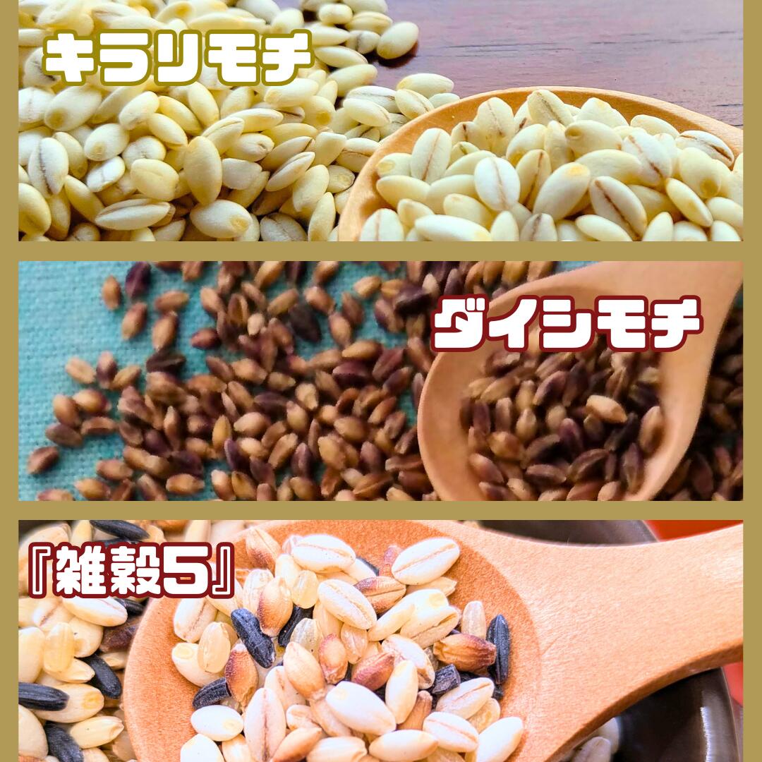 【ふるさと納税】3種類の雑穀バラエティーセットA（キラリモチ・ダイシモチ・雑穀5）各300g×3袋（CIC11） - 画像3