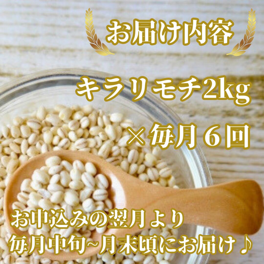 【ふるさと納税】【6回定期便】キラリモチ2kg もち麦 キラリ もち麦ごはん（CIB28） - 画像2