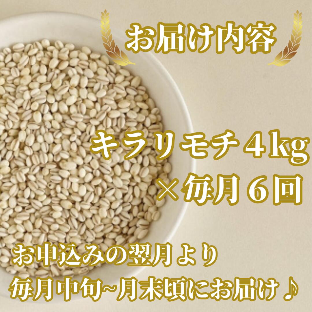 【ふるさと納税】【6回定期便】キラリモチ4kg もち麦 キラリ もち麦ごはん（CIC14） - 画像2