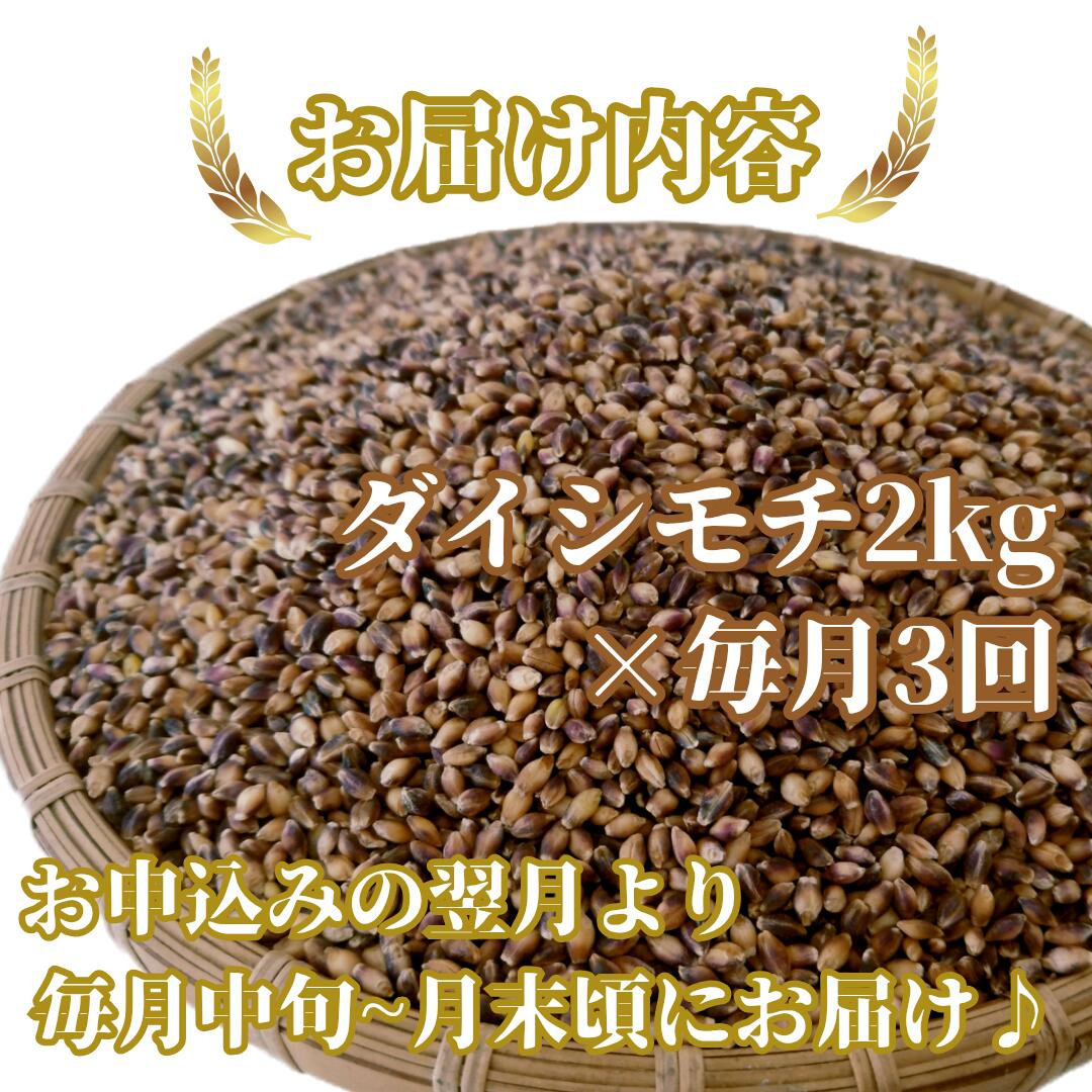 【ふるさと納税】【3回定期便】ダイシモチ2kg もち麦 キラリ もち麦ごはん（CIB37） - 画像2