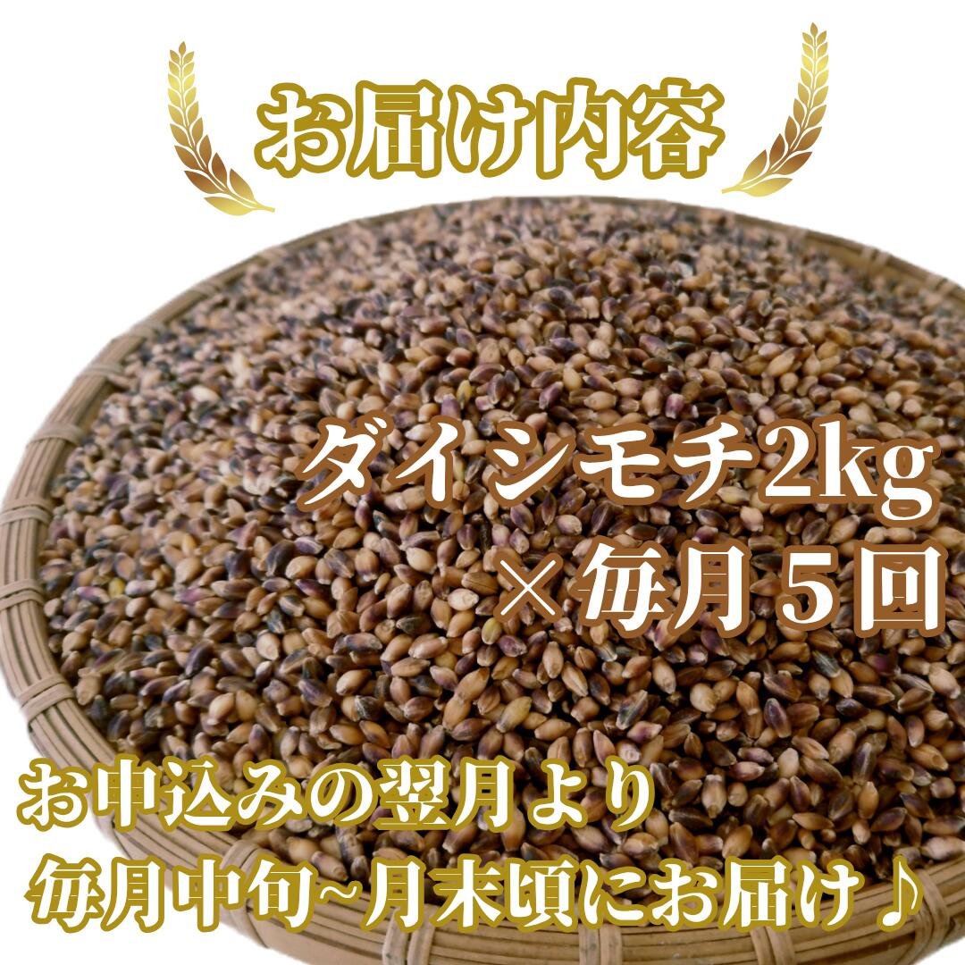 【ふるさと納税】【5回定期便】ダイシモチ2kg もち麦 キラリ もち麦ごはん（CIB40） - 画像2