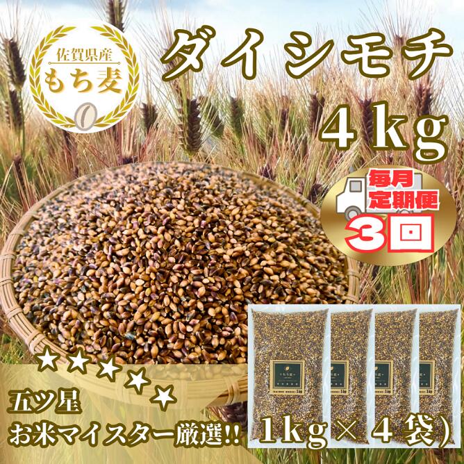 【3回定期便】ダイシモチ4kg もち麦 キラリ もち麦ごはん（CIC18）