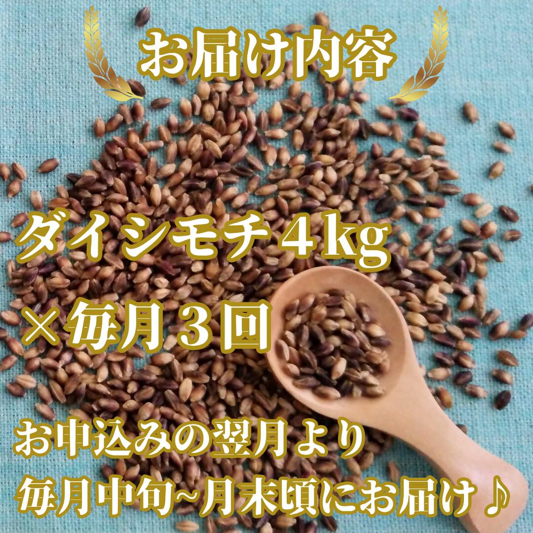 【ふるさと納税】【3回定期便】ダイシモチ4kg もち麦 キラリ もち麦ごはん（CIC18） - 画像2