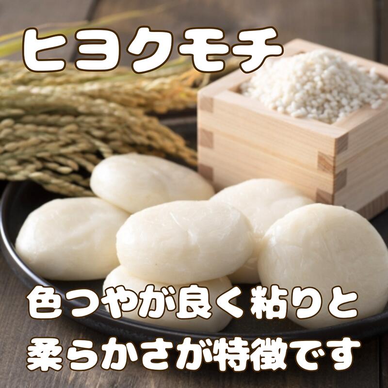 【ふるさと納税】佐賀県産もち米『ヒヨクモチ』10kg（5kg×2袋）（CIC57） - 画像2